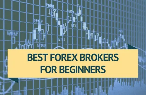 Best Forex Broker for Beginners