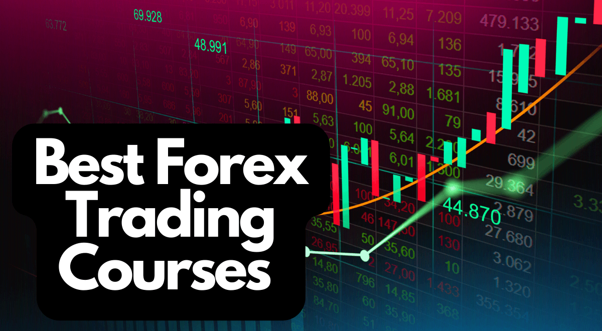 Forex Trading Course in Hindi